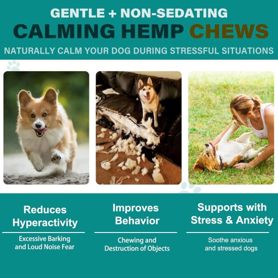 Calming Chew for Dogs (Salmon Aroma Pack of 110), Soothing Chews for Pets, ti Stress Snack for Your Dog, Promotes Relaxation, Reduce Stress, with Natural Ingredients Calming Chew for Dogs (Salmon Aroma Pack of 110), Soothing Chews for Pets, ti Stress Snack for Your Dog, Promotes Relaxation, Reduce Stress, with Natural Ingredients