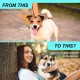 Calming Chew for Dogs (Salmon Aroma Pack of 110), Soothing Chews for Pets, ti Stress Snack for Your Dog, Promotes Relaxation, Reduce Stress, with Natural Ingredients Calming Chew for Dogs (Salmon Aroma Pack of 110), Soothing Chews for Pets, ti Stress Snack for Your Dog, Promotes Relaxation, Reduce Stress, with Natural Ingredients
