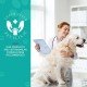 Calming Chew for Dogs (Salmon Aroma Pack of 110), Soothing Chews for Pets, ti Stress Snack for Your Dog, Promotes Relaxation, Reduce Stress, with Natural Ingredients Calming Chew for Dogs (Salmon Aroma Pack of 110), Soothing Chews for Pets, ti Stress Snack for Your Dog, Promotes Relaxation, Reduce Stress, with Natural Ingredients