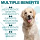 Calming Chew for Dogs (Salmon Aroma Pack of 110), Soothing Chews for Pets, ti Stress Snack for Your Dog, Promotes Relaxation, Reduce Stress, with Natural Ingredients Calming Chew for Dogs (Salmon Aroma Pack of 110), Soothing Chews for Pets, ti Stress Snack for Your Dog, Promotes Relaxation, Reduce Stress, with Natural Ingredients