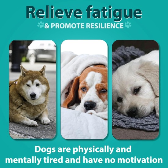 Calming Chew for Dogs (Salmon Aroma Pack of 110), Soothing Chews for Pets, ti Stress Snack for Your Dog, Promotes Relaxation, Reduce Stress, with Natural Ingredients Calming Chew for Dogs (Salmon Aroma Pack of 110), Soothing Chews for Pets, ti Stress Snack for Your Dog, Promotes Relaxation, Reduce Stress, with Natural Ingredients