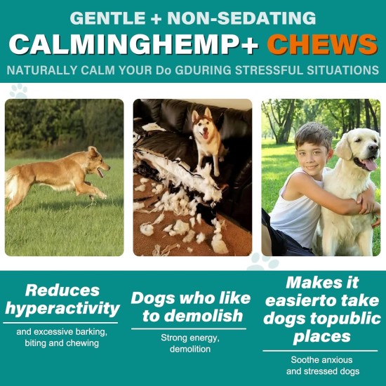 Calming Chew for Dogs (Salmon Aroma Pack of 110), Soothing Chews for Pets, ti Stress Snack for Your Dog, Promotes Relaxation, Reduce Stress, with Natural Ingredients Calming Chew for Dogs (Salmon Aroma Pack of 110), Soothing Chews for Pets, ti Stress Snack for Your Dog, Promotes Relaxation, Reduce Stress, with Natural Ingredients