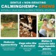 Calming Chew for Dogs (Salmon Aroma Pack of 110), Soothing Chews for Pets, ti Stress Snack for Your Dog, Promotes Relaxation, Reduce Stress, with Natural Ingredients Calming Chew for Dogs (Salmon Aroma Pack of 110), Soothing Chews for Pets, ti Stress Snack for Your Dog, Promotes Relaxation, Reduce Stress, with Natural Ingredients