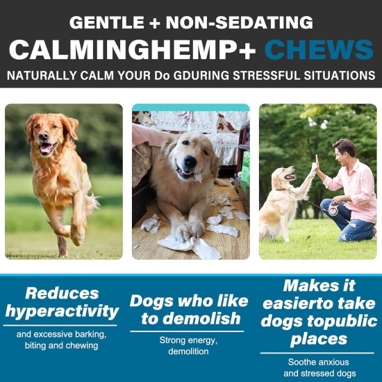 Calming Chew for Dogs (Salmon Aroma Pack of 110), Soothing Chews for Pets, ti Stress Snack for Your Dog, Promotes Relaxation, Reduce Stress, with Natural Ingredients Calming Chew for Dogs (Salmon Aroma Pack of 110), Soothing Chews for Pets, ti Stress Snack for Your Dog, Promotes Relaxation, Reduce Stress, with Natural Ingredients