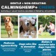 Calming Chew for Dogs (Salmon Aroma Pack of 110), Soothing Chews for Pets, ti Stress Snack for Your Dog, Promotes Relaxation, Reduce Stress, with Natural Ingredients Calming Chew for Dogs (Salmon Aroma Pack of 110), Soothing Chews for Pets, ti Stress Snack for Your Dog, Promotes Relaxation, Reduce Stress, with Natural Ingredients
