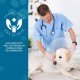 Calming Chew for Dogs (Salmon Aroma Pack of 110), Soothing Chews for Pets, ti Stress Snack for Your Dog, Promotes Relaxation, Reduce Stress, with Natural Ingredients Calming Chew for Dogs (Salmon Aroma Pack of 110), Soothing Chews for Pets, ti Stress Snack for Your Dog, Promotes Relaxation, Reduce Stress, with Natural Ingredients