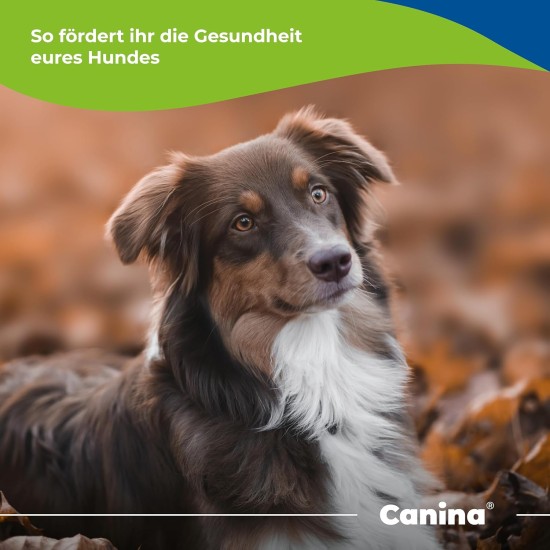 Canina Barfer's Best - Powder - 2kg Canina Barfer's Best - Powder - 2kg