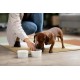 Canina Barfer's Best - Powder - 2kg Canina Barfer's Best - Powder - 2kg