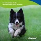 Canina Magen Balance Pack of 1 x 250 g Canina Magen Balance Pack of 1 x 250 g