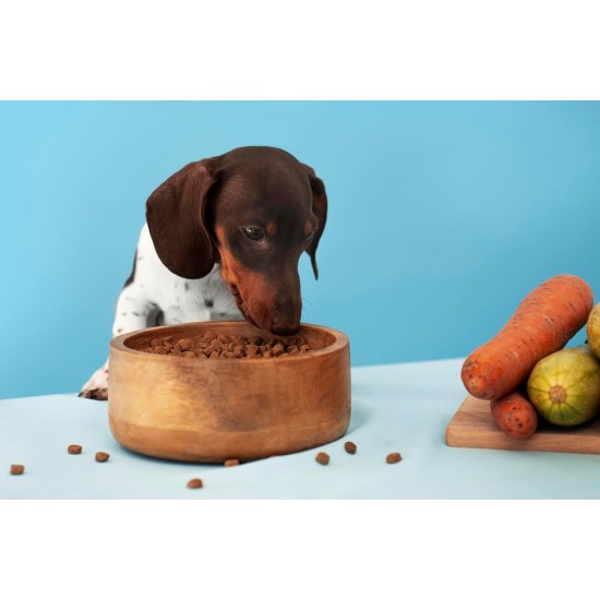 Canina Magen Balance Pack of 1 x 250 g Canina Magen Balance Pack of 1 x 250 g