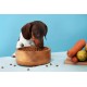 Canina Magen Balance Pack of 1 x 250 g Canina Magen Balance Pack of 1 x 250 g