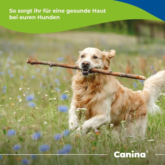 Canina Pharma GmbH Biotin Forte Powder for Dogs Canina Pharma GmbH Biotin Forte Powder for Dogs