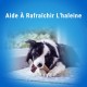 Dentalife Maxi Treats 12 Sticks for Dogs 0.426 kg Dentalife Maxi Treats 12 Sticks for Dogs 0.426 kg