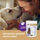 Doppelherz Relax Complex for Dogs - With Alpha Casozepine, L-Tryptophan and Passion Flower - Support for Mental Wellbeing - 60 Chews