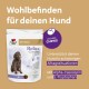 Doppelherz Relax Complex for Dogs - With Alpha Casozepine, L-Tryptophan and Passion Flower - Support for Mental Wellbeing - 60 Chews