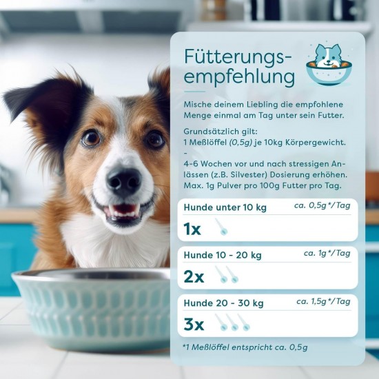 Dr. SAM Premium Anti-Stress Powder for Dogs – RelaxPet as a Natural Soothing Agent for Relaxation from Anxiety and Stress – Peace When Travelling and Special Occasions – High Dose – 45 g Dr. SAM Premium Anti-Stress Powder for Dogs – RelaxPet as a Natural Soothing Agent for Relaxation from Anxiety and Stress – Peace When Travelling and Special Occasions – High Dose – 45 g