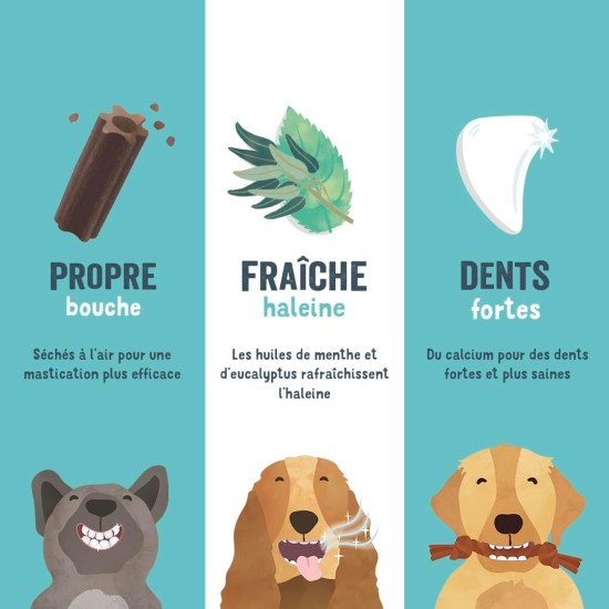 Edgard Cooper Dog Treat (Eucalyptus & Apple, 7 Sticks x 8), Small, One Per Day, Low Calorie, Effective Long Chew, Fresh Breath Edgard Cooper Dog Treat (Eucalyptus & Apple, 7 Sticks x 8), Small, One Per Day, Low Calorie, Effective Long Chew, Fresh Breath