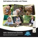 GLOBAL NATUREON® Cannabiu Pets Oil 500 mg (30 ml) Salmon Oil Based, Sedative for Dogs and Cats, Drops for Anxiety, Stress & Travel, Natural Product for Animals, No Preservatives