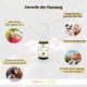 GLOBAL NATUREON® Cannabiu Pets Oil 500 mg (30 ml) Salmon Oil Based, Sedative for Dogs and Cats, Drops for Anxiety, Stress & Travel, Natural Product for Animals, No Preservatives
