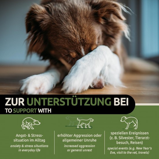 GreenPet - Relax Me, 120 Tablets - Sedative for Dogs, Extra Strong, for Anxiety, Stress, Car journeys & travelling - to soothe and relax, Valerian, St. John's Wort - Made in Germany GreenPet - Relax Me, 120 Tablets - Sedative for Dogs, Extra Strong, for Anxiety, Stress, Car journeys & travelling - to soothe and relax, Valerian, St. John's Wort - Made in Germany
