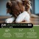GreenPet - Relax Me, 120 Tablets - Sedative for Dogs, Extra Strong, for Anxiety, Stress, Car journeys & travelling - to soothe and relax, Valerian, St. John's Wort - Made in Germany GreenPet - Relax Me, 120 Tablets - Sedative for Dogs, Extra Strong, for Anxiety, Stress, Car journeys & travelling - to soothe and relax, Valerian, St. John's Wort - Made in Germany