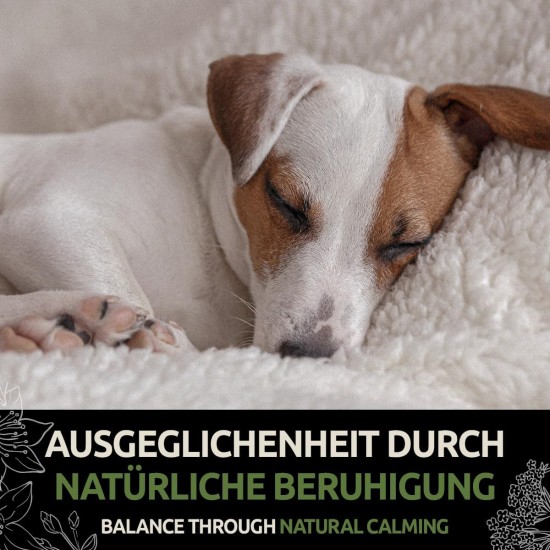 GreenPet - Relax Me, 120 Tablets - Sedative for Dogs, Extra Strong, for Anxiety, Stress, Car journeys & travelling - to soothe and relax, Valerian, St. John's Wort - Made in Germany GreenPet - Relax Me, 120 Tablets - Sedative for Dogs, Extra Strong, for Anxiety, Stress, Car journeys & travelling - to soothe and relax, Valerian, St. John's Wort - Made in Germany