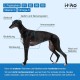 ITIKO Vitamins for Dogs, Delicious Dog Soothing Food Supplement, Calming Agent for Dogs, Improvement of the Nervous System, Bark-Inhibiting, L-Tryptophan ITIKO Vitamins for Dogs, Delicious Dog Soothing Food Supplement, Calming Agent for Dogs, Improvement of the Nervous System, Bark-Inhibiting, L-Tryptophan
