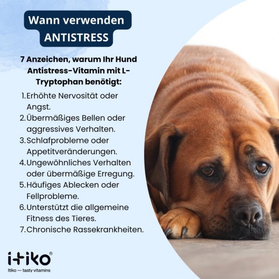 ITIKO Vitamins for Dogs, Delicious Dog Soothing Food Supplement, Calming Agent for Dogs, Improvement of the Nervous System, Bark-Inhibiting, L-Tryptophan ITIKO Vitamins for Dogs, Delicious Dog Soothing Food Supplement, Calming Agent for Dogs, Improvement of the Nervous System, Bark-Inhibiting, L-Tryptophan