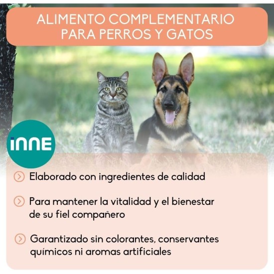 Inne Salmon Oil Inne Salmon Oil