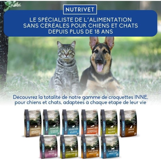 Inne Salmon Oil Inne Salmon Oil