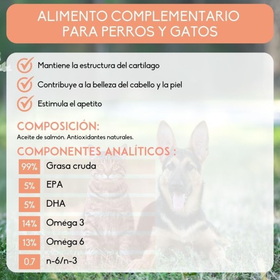 Inne Salmon Oil Inne Salmon Oil