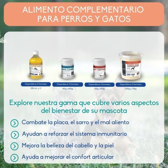 Inne Salmon Oil Inne Salmon Oil