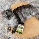 Now Foods Omega-3 Support Supplements for Dogs/Cats Now Foods Omega-3 Support Supplements for Dogs/Cats