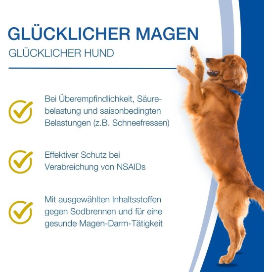 NutriLabs Acid Protect® Chewable Tablets for Dogs Pack of 100 - Gastric Herb Tablets with Montmorillonite, Psyllium, Marshmallow, Zinc, etc. - Health Products for Dogs - Food Supplement Dog NutriLabs Acid Protect® Chewable Tablets for Dogs Pack of 100 - Gastric Herb Tablets with Montmorillonite, Psyllium, Marshmallow, Zinc, etc. - Health Products for Dogs - Food Supplement Dog