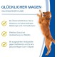 NutriLabs Acid Protect® Chewable Tablets for Dogs Pack of 100 - Gastric Herb Tablets with Montmorillonite, Psyllium, Marshmallow, Zinc, etc. - Health Products for Dogs - Food Supplement Dog