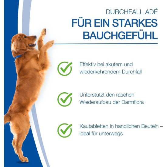 NutriLabs Acid Protect® Chewable Tablets for Dogs Pack of 100 - Gastric Herb Tablets with Montmorillonite, Psyllium, Marshmallow, Zinc, etc. - Health Products for Dogs - Food Supplement Dog NutriLabs Acid Protect® Chewable Tablets for Dogs Pack of 100 - Gastric Herb Tablets with Montmorillonite, Psyllium, Marshmallow, Zinc, etc. - Health Products for Dogs - Food Supplement Dog