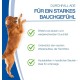 NutriLabs Acid Protect® Chewable Tablets for Dogs Pack of 100 - Gastric Herb Tablets with Montmorillonite, Psyllium, Marshmallow, Zinc, etc. - Health Products for Dogs - Food Supplement Dog