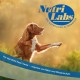 NutriLabs Acid Protect® Chewable Tablets for Dogs Pack of 100 - Gastric Herb Tablets with Montmorillonite, Psyllium, Marshmallow, Zinc, etc. - Health Products for Dogs - Food Supplement Dog