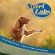 NutriLabs Acid Protect® Chewable Tablets for Dogs Pack of 100 - Gastric Herb Tablets with Montmorillonite, Psyllium, Marshmallow, Zinc, etc. - Health Products for Dogs - Food Supplement Dog