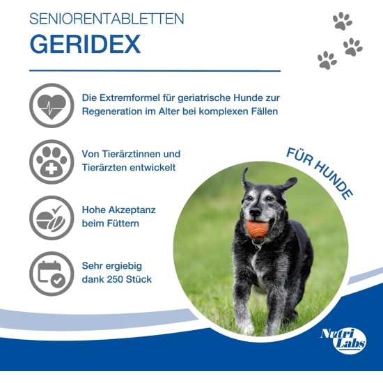 NutriLabs Geridex® Tablets for Senior Dogs Pack of 250 - Senior Tablets for Dogs with Glucosamine, Hawthorn and Much More - Dog Dietary Supplement - Devil's Claw Tablets - MSM Dog NutriLabs Geridex® Tablets for Senior Dogs Pack of 250 - Senior Tablets for Dogs with Glucosamine, Hawthorn and Much More - Dog Dietary Supplement - Devil's Claw Tablets - MSM Dog