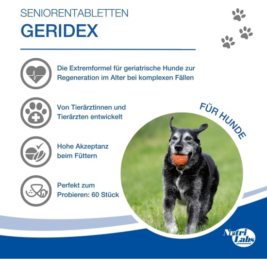NutriLabs Geridex® Tablets for Senior Dogs Pack of 250 - Senior Tablets for Dogs with Glucosamine, Hawthorn and Much More - Dog Dietary Supplement - Devil's Claw Tablets - MSM Dog NutriLabs Geridex® Tablets for Senior Dogs Pack of 250 - Senior Tablets for Dogs with Glucosamine, Hawthorn and Much More - Dog Dietary Supplement - Devil's Claw Tablets - MSM Dog