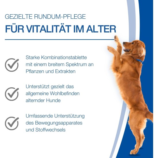 NutriLabs Geridex® Tablets for Senior Dogs Pack of 250 - Senior Tablets for Dogs with Glucosamine, Hawthorn and Much More - Dog Dietary Supplement - Devil's Claw Tablets - MSM Dog NutriLabs Geridex® Tablets for Senior Dogs Pack of 250 - Senior Tablets for Dogs with Glucosamine, Hawthorn and Much More - Dog Dietary Supplement - Devil's Claw Tablets - MSM Dog