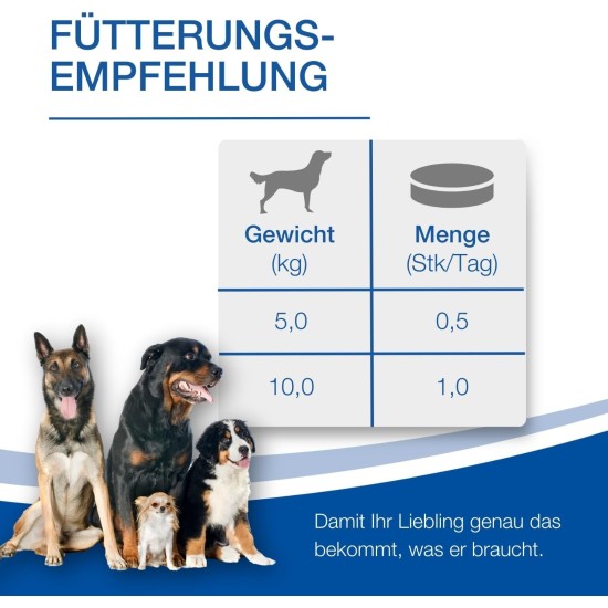 NutriLabs Geridex® Tablets for Senior Dogs Pack of 250 - Senior Tablets for Dogs with Glucosamine, Hawthorn and Much More - Dog Dietary Supplement - Devil's Claw Tablets - MSM Dog NutriLabs Geridex® Tablets for Senior Dogs Pack of 250 - Senior Tablets for Dogs with Glucosamine, Hawthorn and Much More - Dog Dietary Supplement - Devil's Claw Tablets - MSM Dog