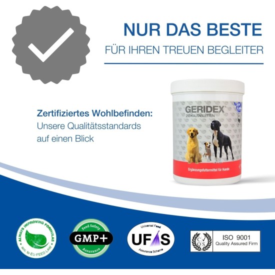 NutriLabs Geridex® Tablets for Senior Dogs Pack of 250 - Senior Tablets for Dogs with Glucosamine, Hawthorn and Much More - Dog Dietary Supplement - Devil's Claw Tablets - MSM Dog NutriLabs Geridex® Tablets for Senior Dogs Pack of 250 - Senior Tablets for Dogs with Glucosamine, Hawthorn and Much More - Dog Dietary Supplement - Devil's Claw Tablets - MSM Dog