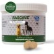 NutriLabs Rascave Hepar Forte Tablets for Dogs Pack of 90 - Liver Tablets - B Vitamins for Dogs - Health Products for Dogs - Dietary Supplement Dog - Liver Complex NutriLabs Rascave Hepar Forte Tablets for Dogs Pack of 90 - Liver Tablets - B Vitamins for Dogs - Health Products for Dogs - Dietary Supplement Dog - Liver Complex