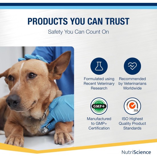 Nutriscience NutriScience SeniorAid Multivitamin for Older Dogs and Cats Liquid 250ml Nutriscience NutriScience SeniorAid Multivitamin for Older Dogs and Cats Liquid 250ml