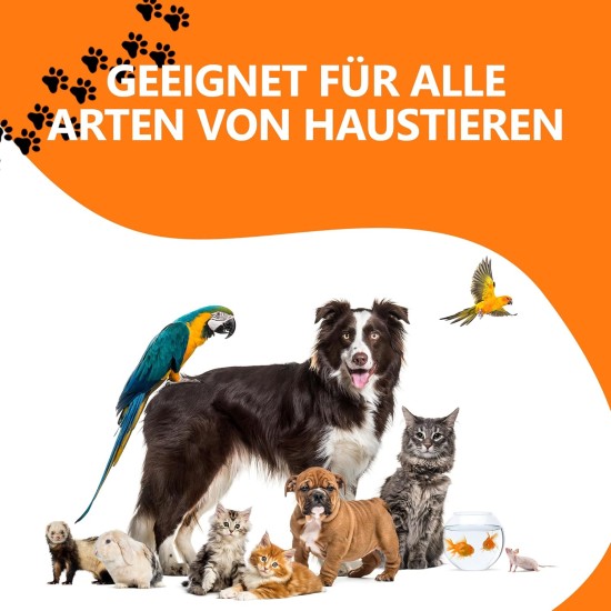Oïléna - Organic 6-in-1 Pet Oil | Rich in Omega 3, 6, 9 and Vitamin E | Supports Immune System and Energy | For Healthy Skin and Coat | Ideal for Dogs and Cats of All Ages 2000ml Oïléna - Organic 6-in-1 Pet Oil | Rich in Omega 3, 6, 9 and Vitamin E | Supports Immune System and Energy | For Healthy Skin and Coat | Ideal for Dogs and Cats of All Ages 2000ml