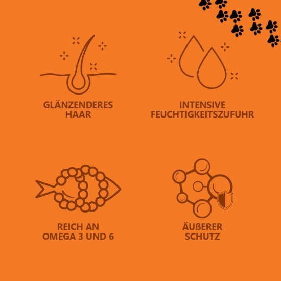 Oïléna - Organic 6-in-1 Pet Oil | Rich in Omega 3, 6, 9 and Vitamin E | Supports Immune System and Energy | For Healthy Skin and Coat | Ideal for Dogs and Cats of All Ages 2000ml Oïléna - Organic 6-in-1 Pet Oil | Rich in Omega 3, 6, 9 and Vitamin E | Supports Immune System and Energy | For Healthy Skin and Coat | Ideal for Dogs and Cats of All Ages 2000ml