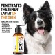 Oïléna - Organic 6-in-1 Pet Oil | Rich in Omega 3, 6, 9 and Vitamin E | Supports Immune System and Energy | For Healthy Skin and Coat | Ideal for Dogs and Cats of All Ages 2000ml