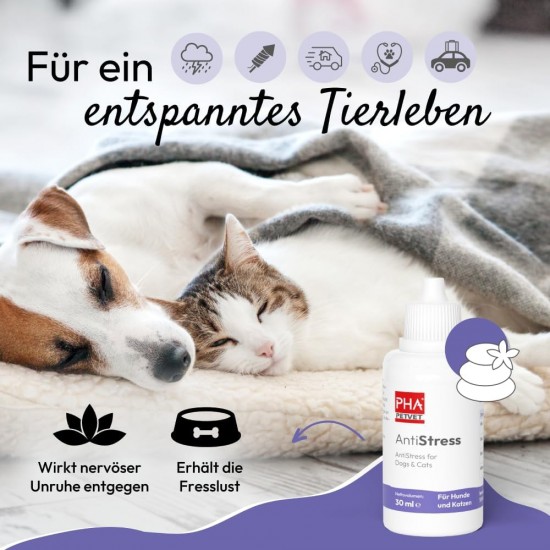 PHA Antistress Drops for Dogs & Cats - Natural Calming for Anxiety, Travel, New Year's Eve, Noise, with Melissa, Hops & Passion Flower, 30 ml PHA Antistress Drops for Dogs & Cats - Natural Calming for Anxiety, Travel, New Year's Eve, Noise, with Melissa, Hops & Passion Flower, 30 ml